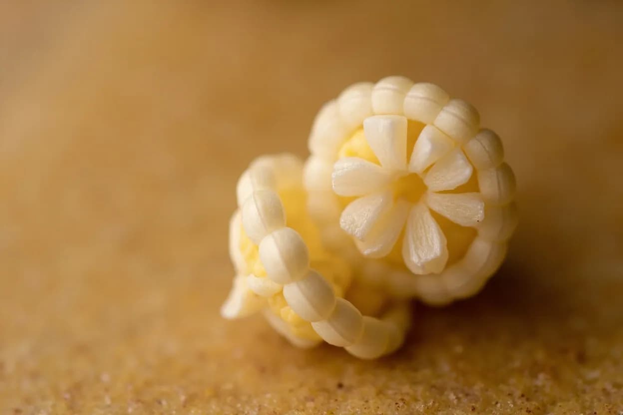 Hominy Bloom (Pozole Flowering)
