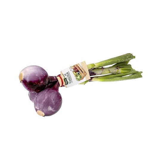 Red Spring Onion 1 Bunch