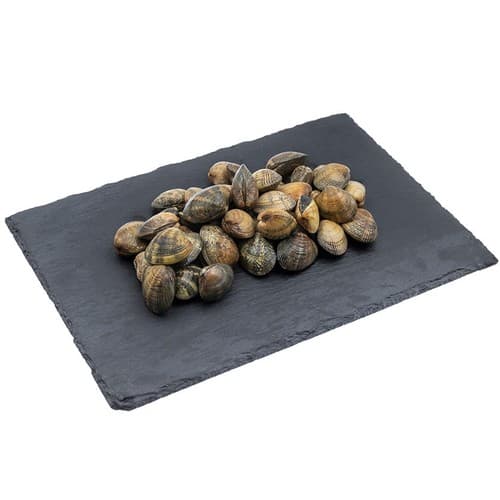 Japanese Clam