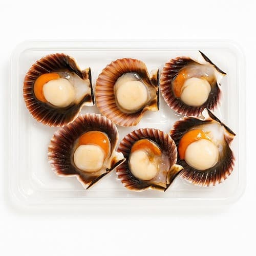 Scallop Half Shell