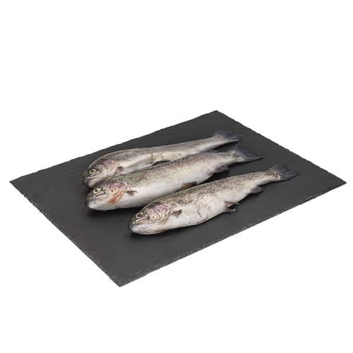 Rainbow Trout