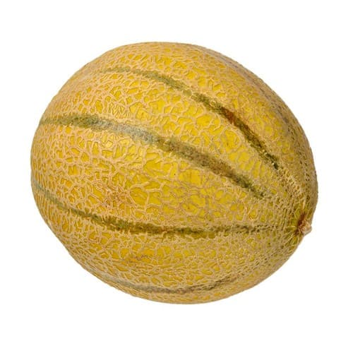 Cantaloupe Melon 1 unit