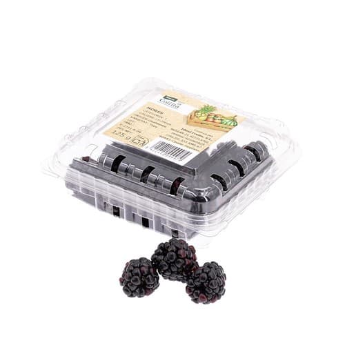 LA COLLITA Blackberries in Terrine 125 g