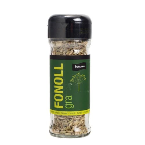 Fennel