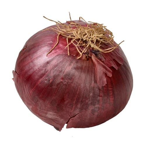 Red Onion 1 unit