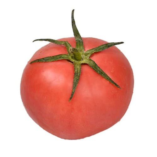 Pink Tomato
