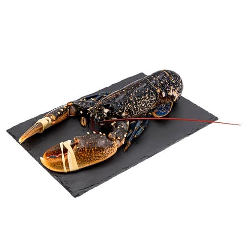 Blue Lobster (unit)