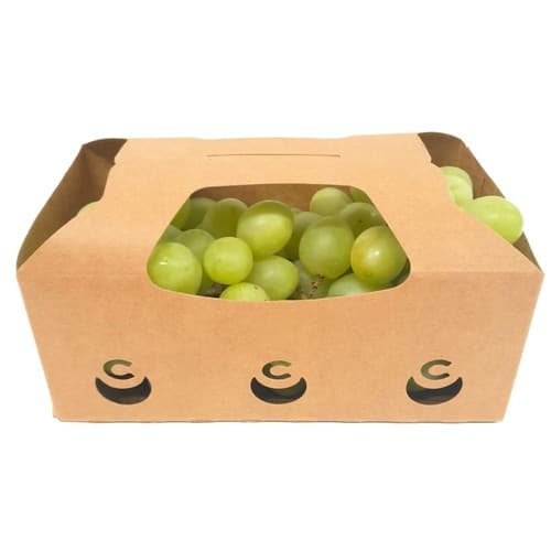White Seedless Grapes 500g Tray