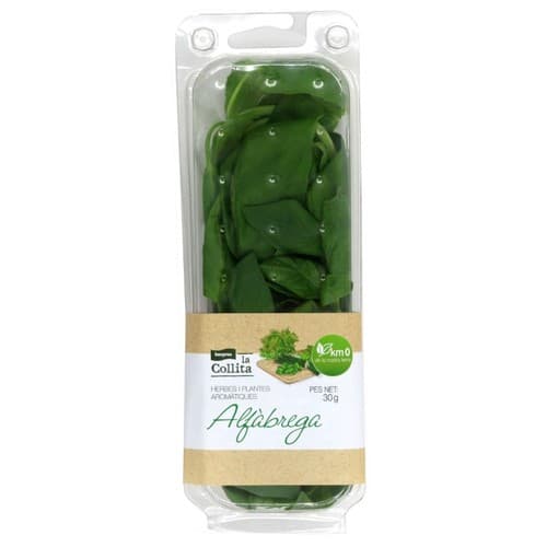 Km0 Basil