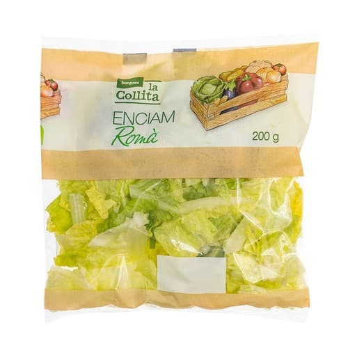 Romaine Lettuce
