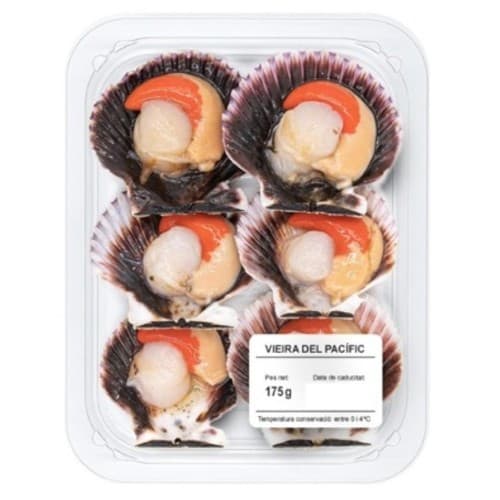 Pacific Scallop