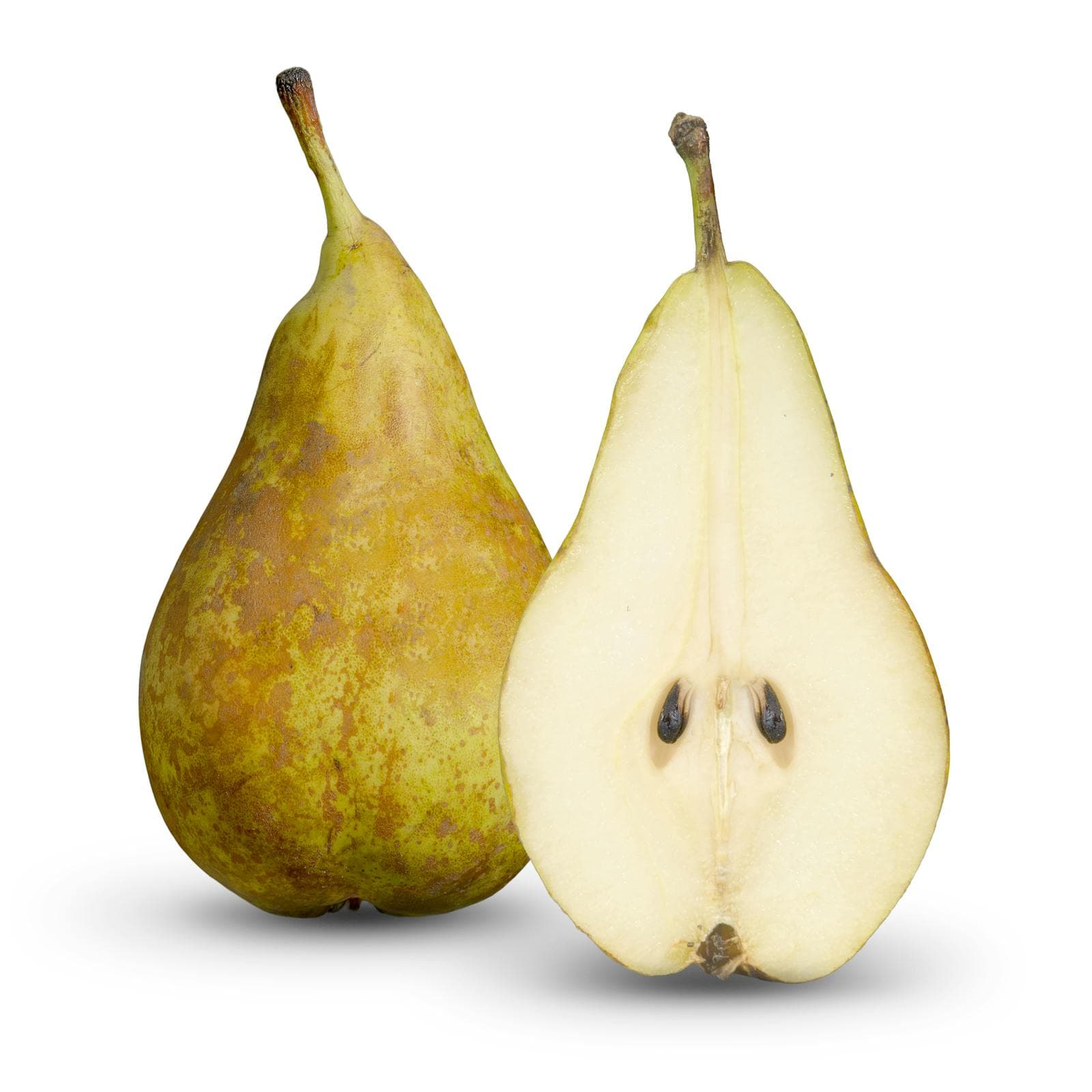 Conference Pear