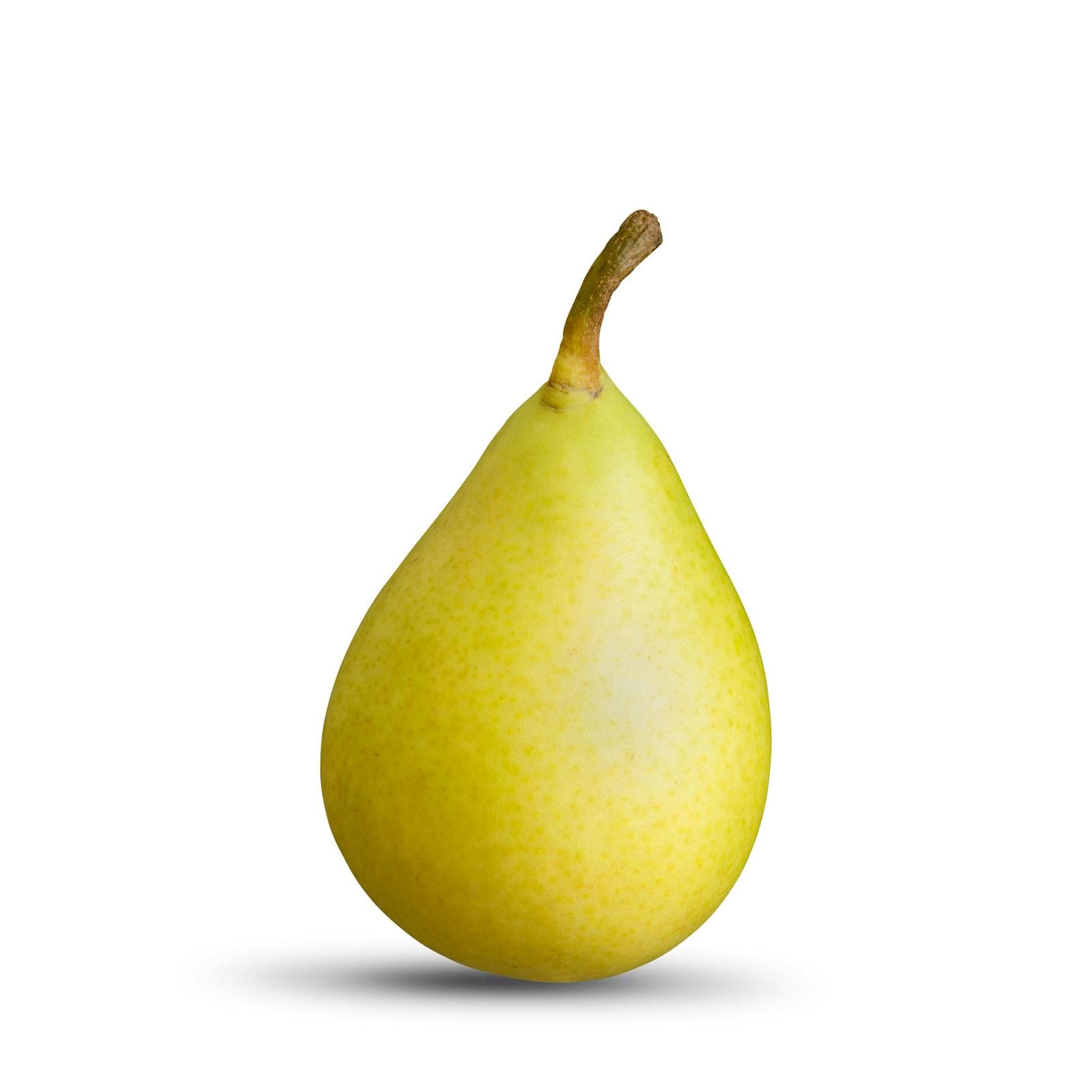 Ercolina Pear