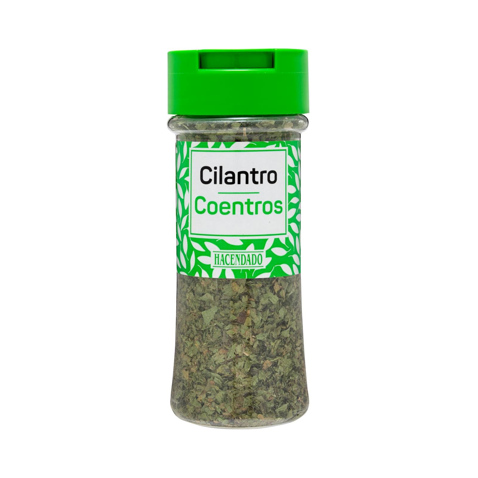 Cilantro