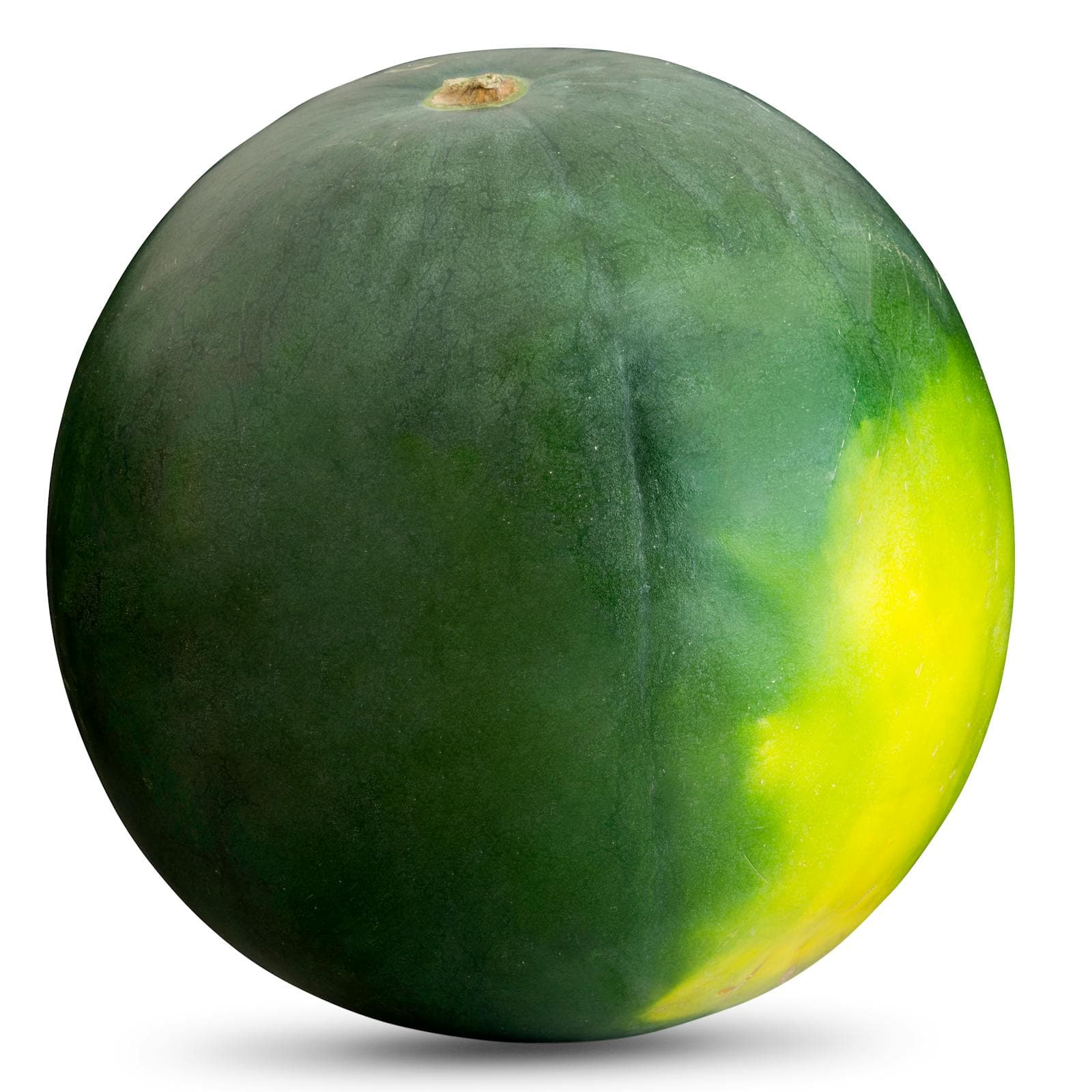 Seedless Watermelon