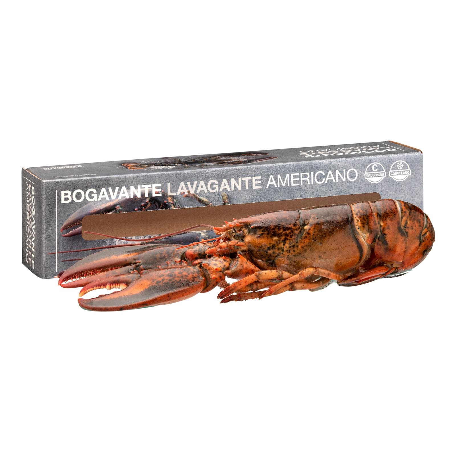 Medium Raw American Lobster