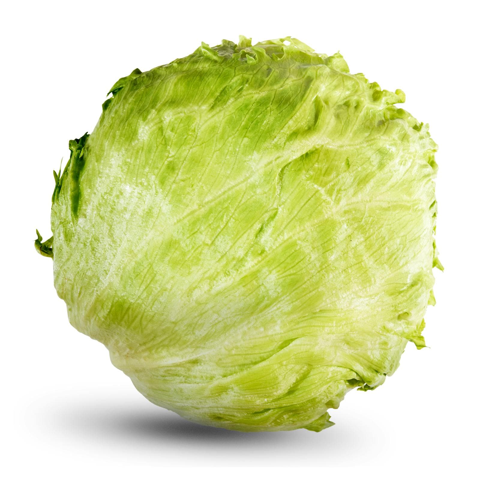 Iceberg Lettuce