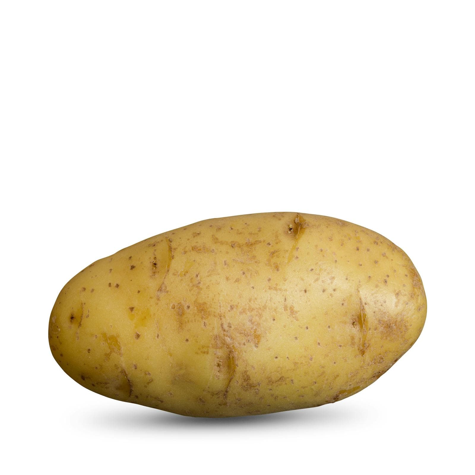 Potato