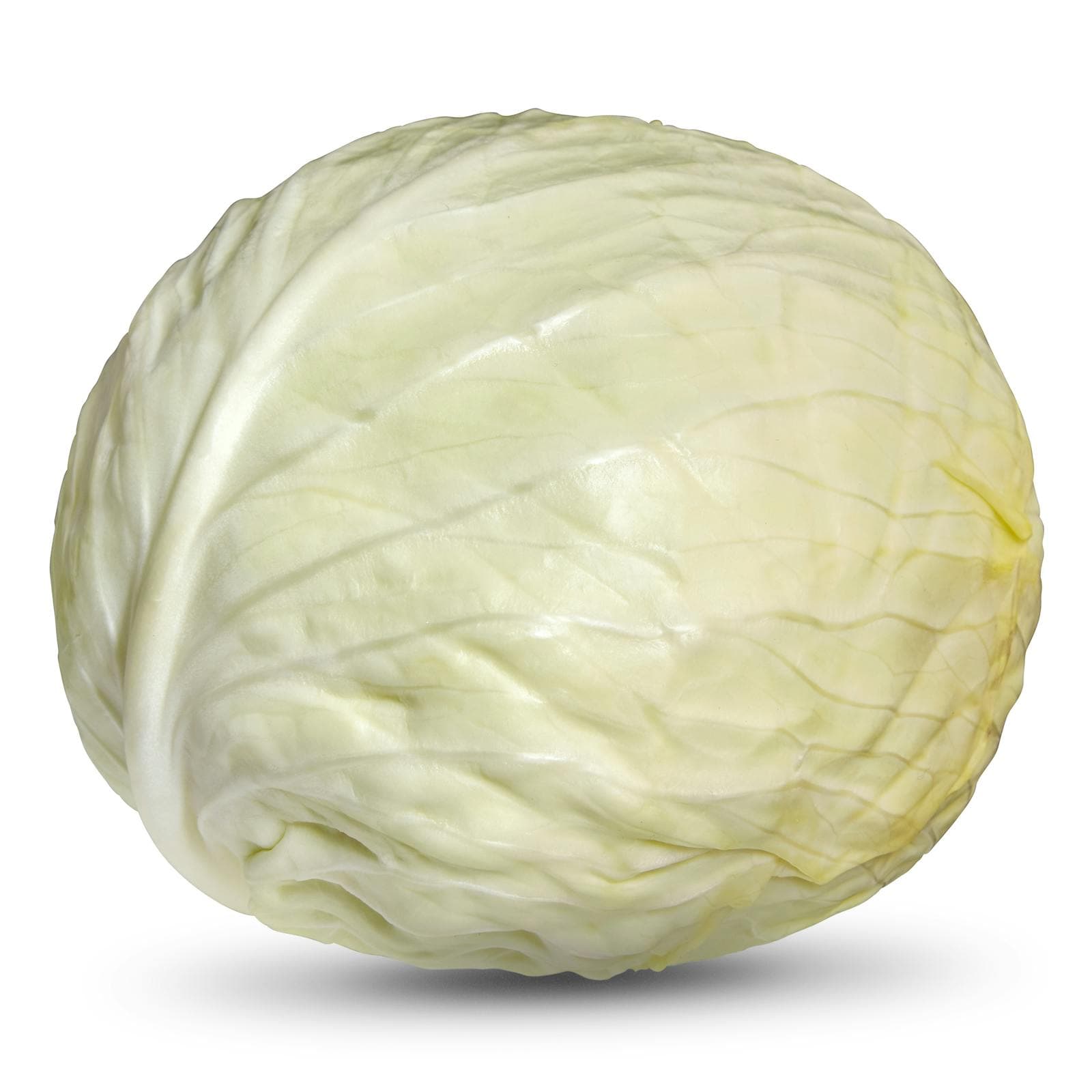 Smooth Cabbage