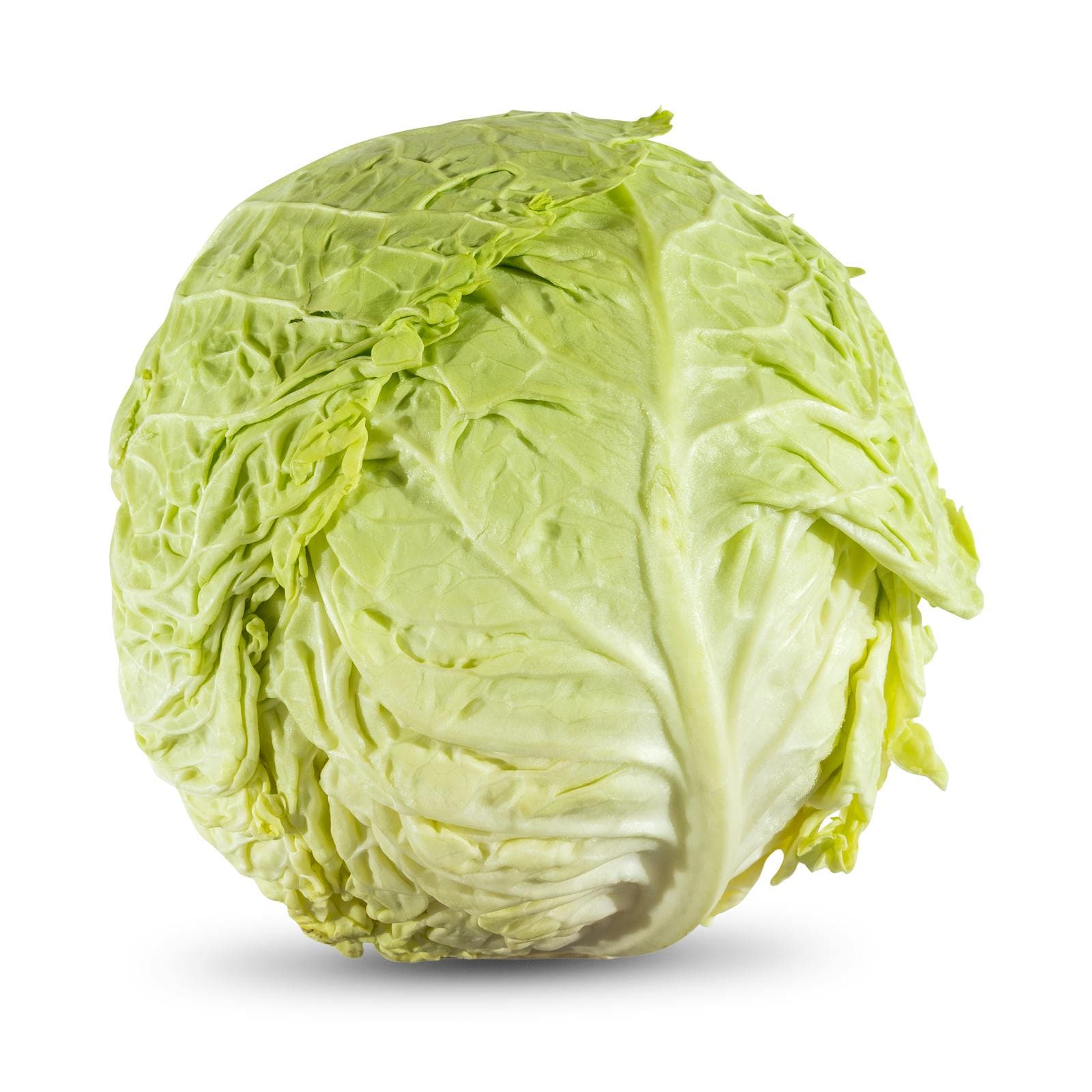 Curly Cabbage