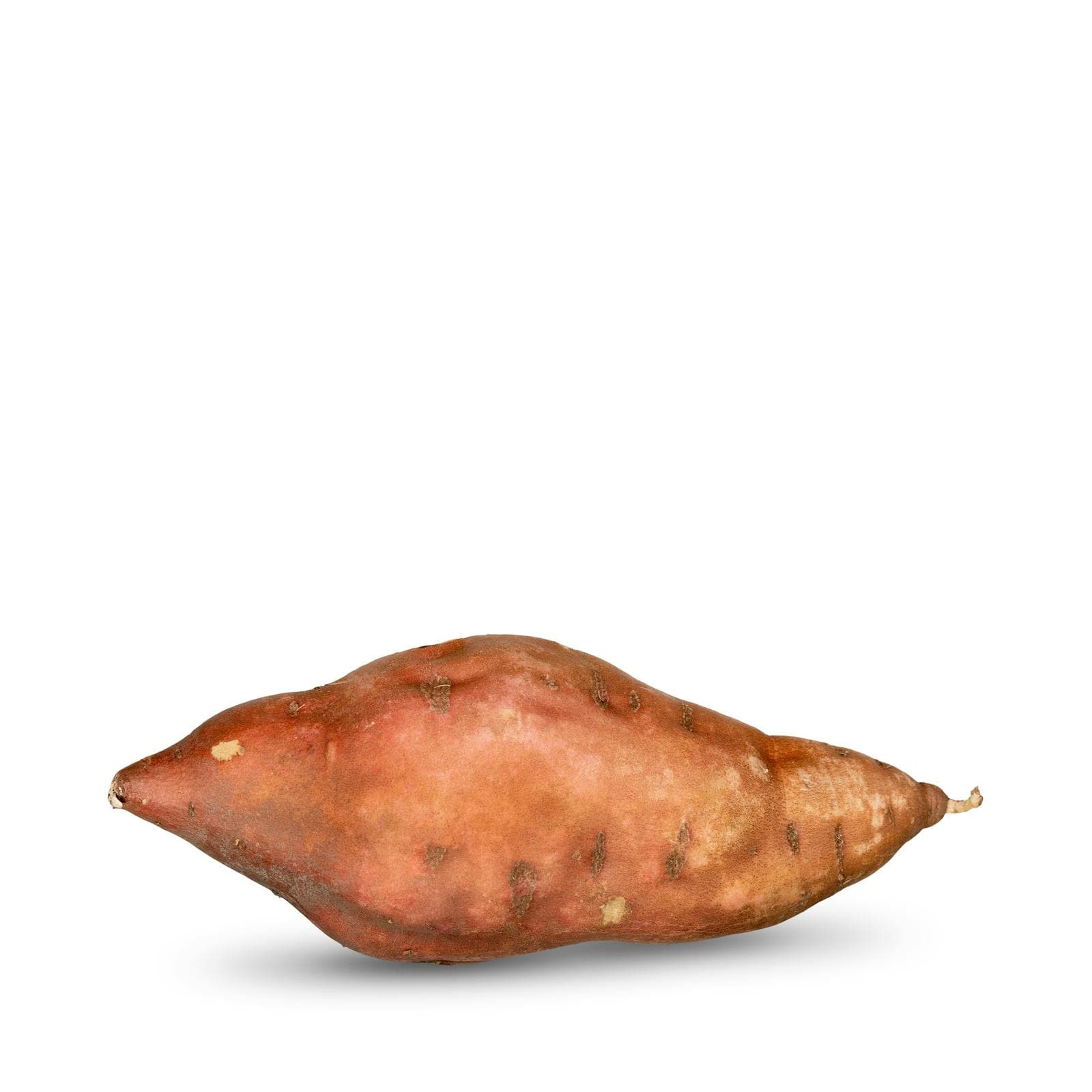 Sweet Potato