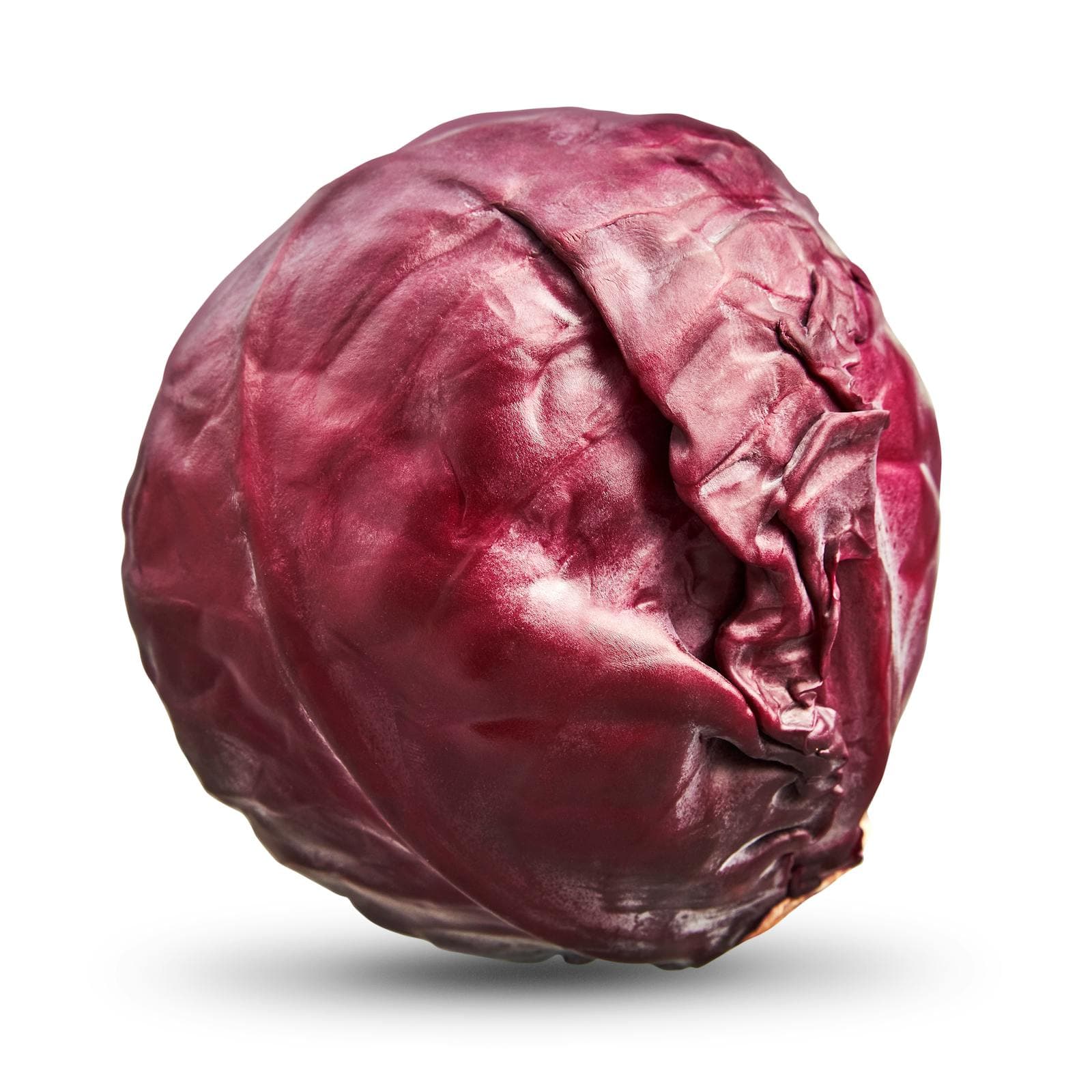 Red Cabbage