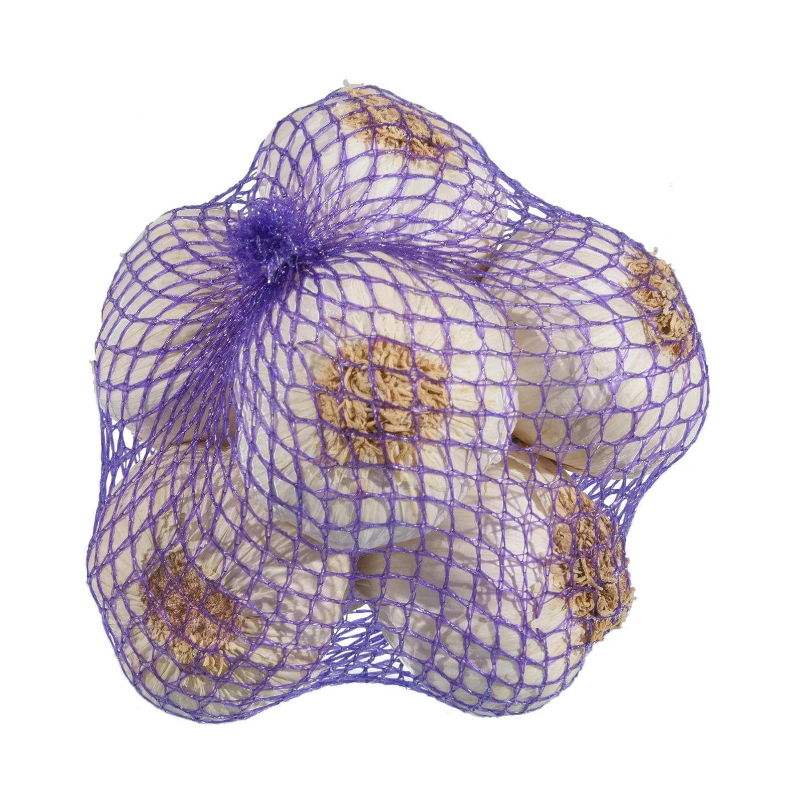 Purple Garlic