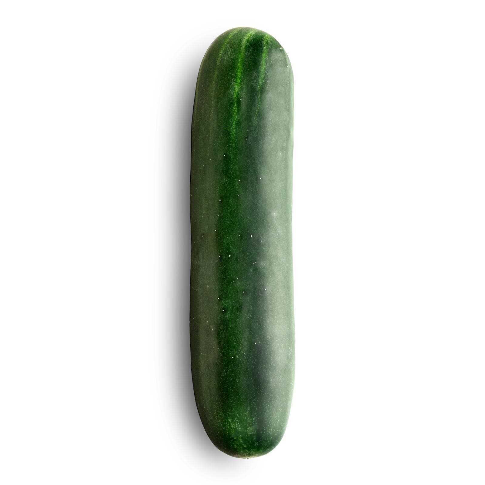 Cucumber