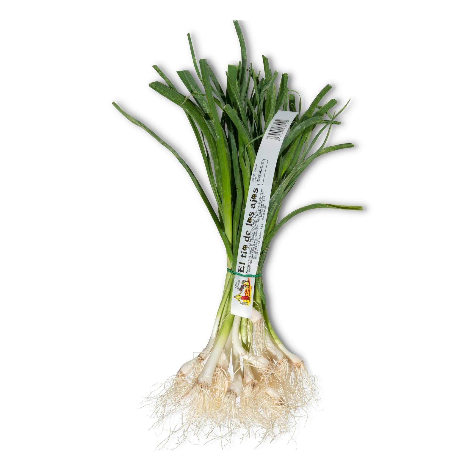 Young Garlic