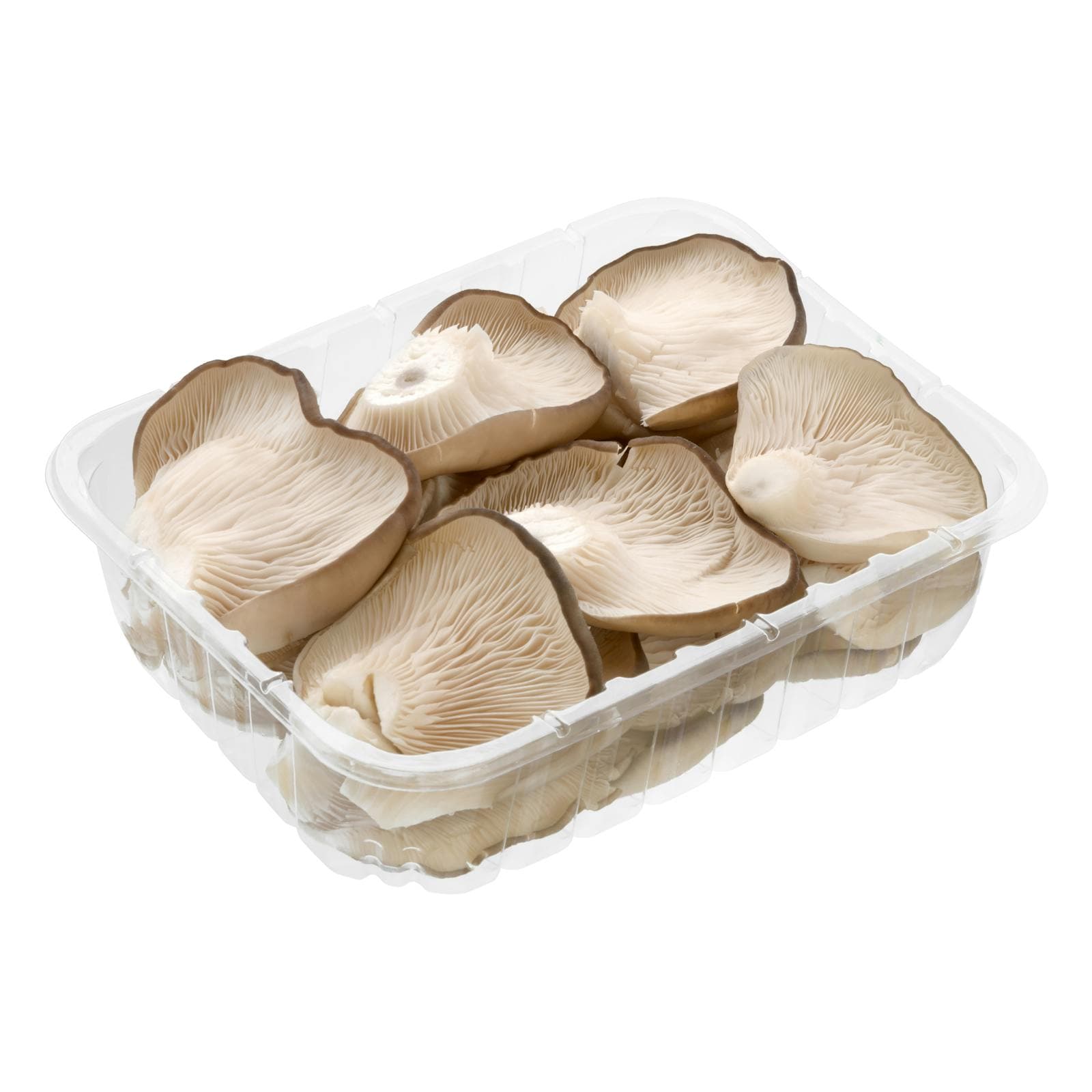 Mushrooms