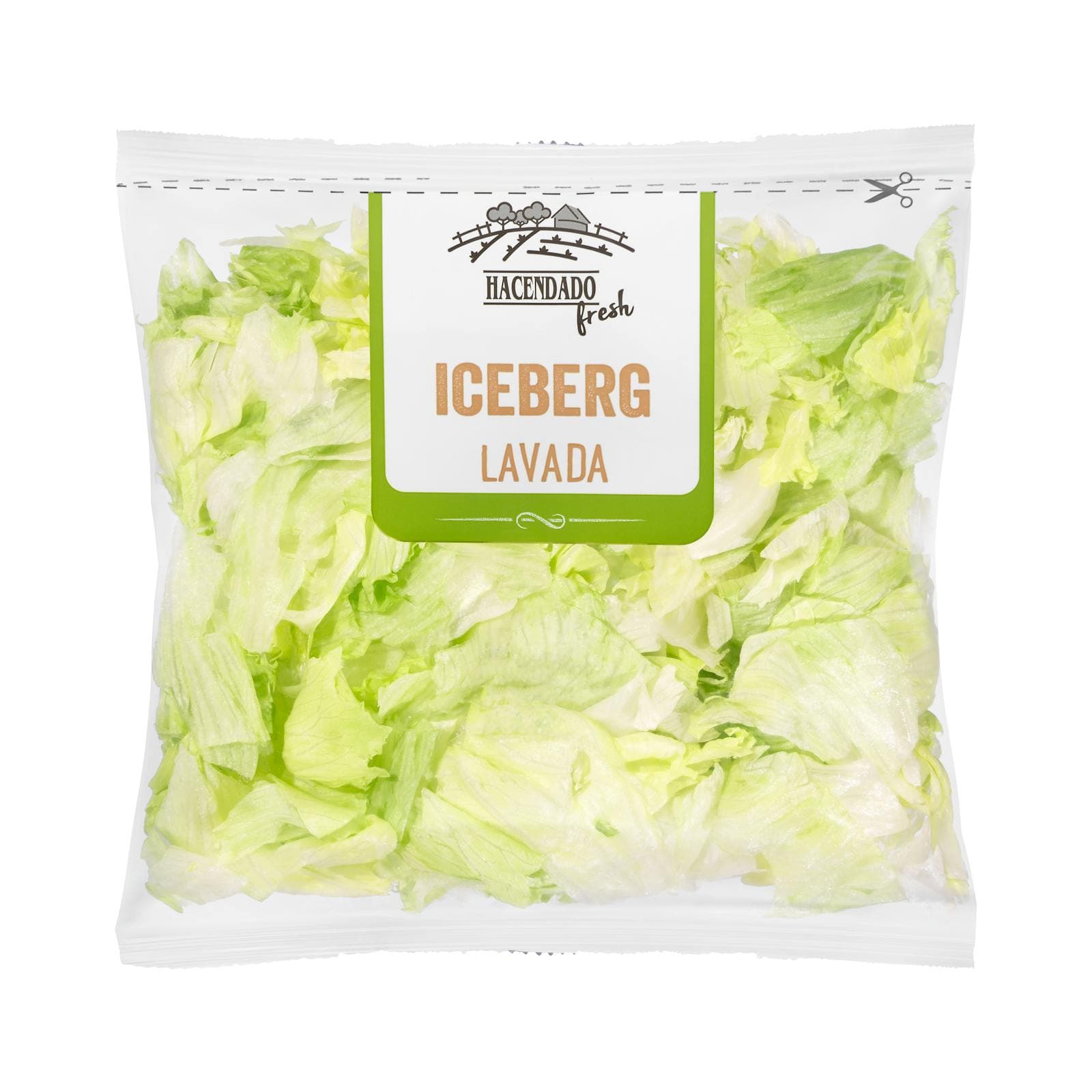 Iceberg Lettuce Cut and Washed