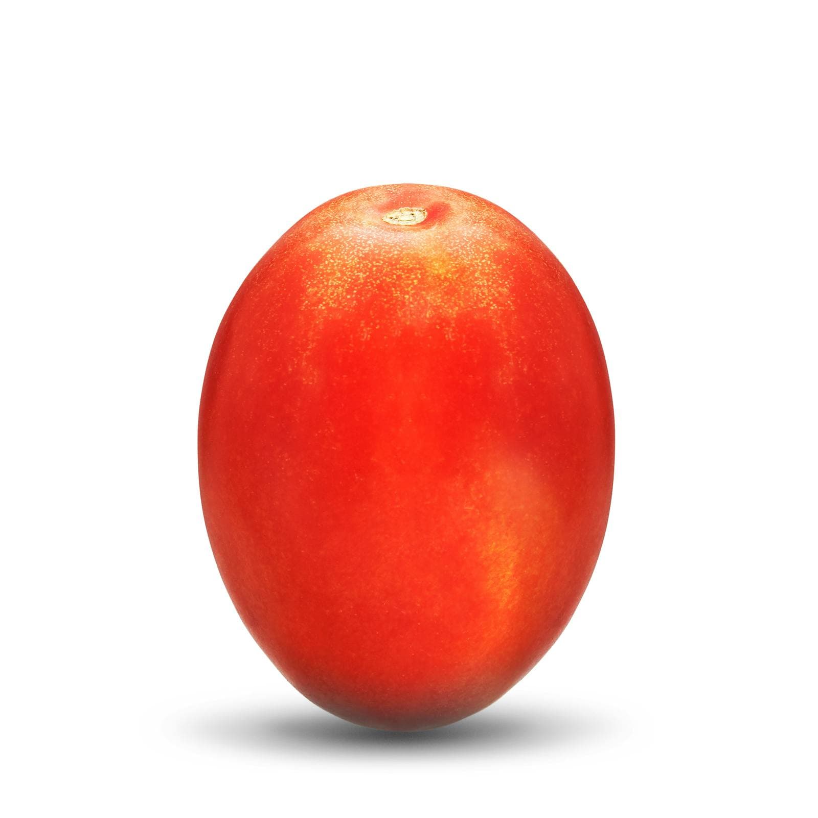 Plum Tomato