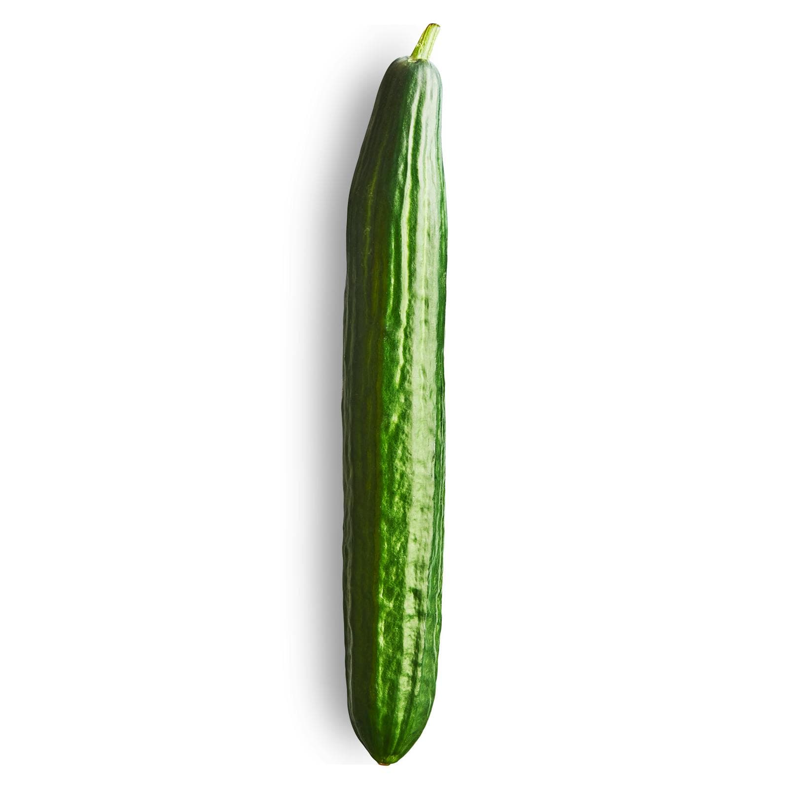 Dutch Cucumber