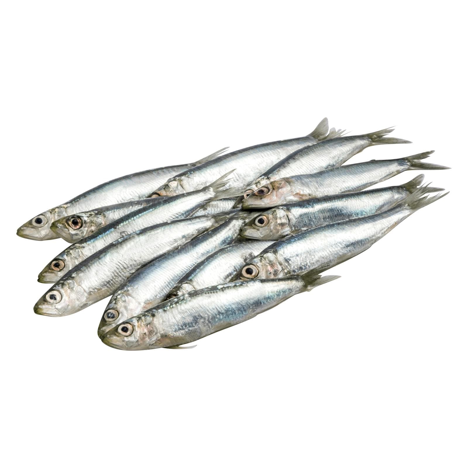 Ungutted Sardine