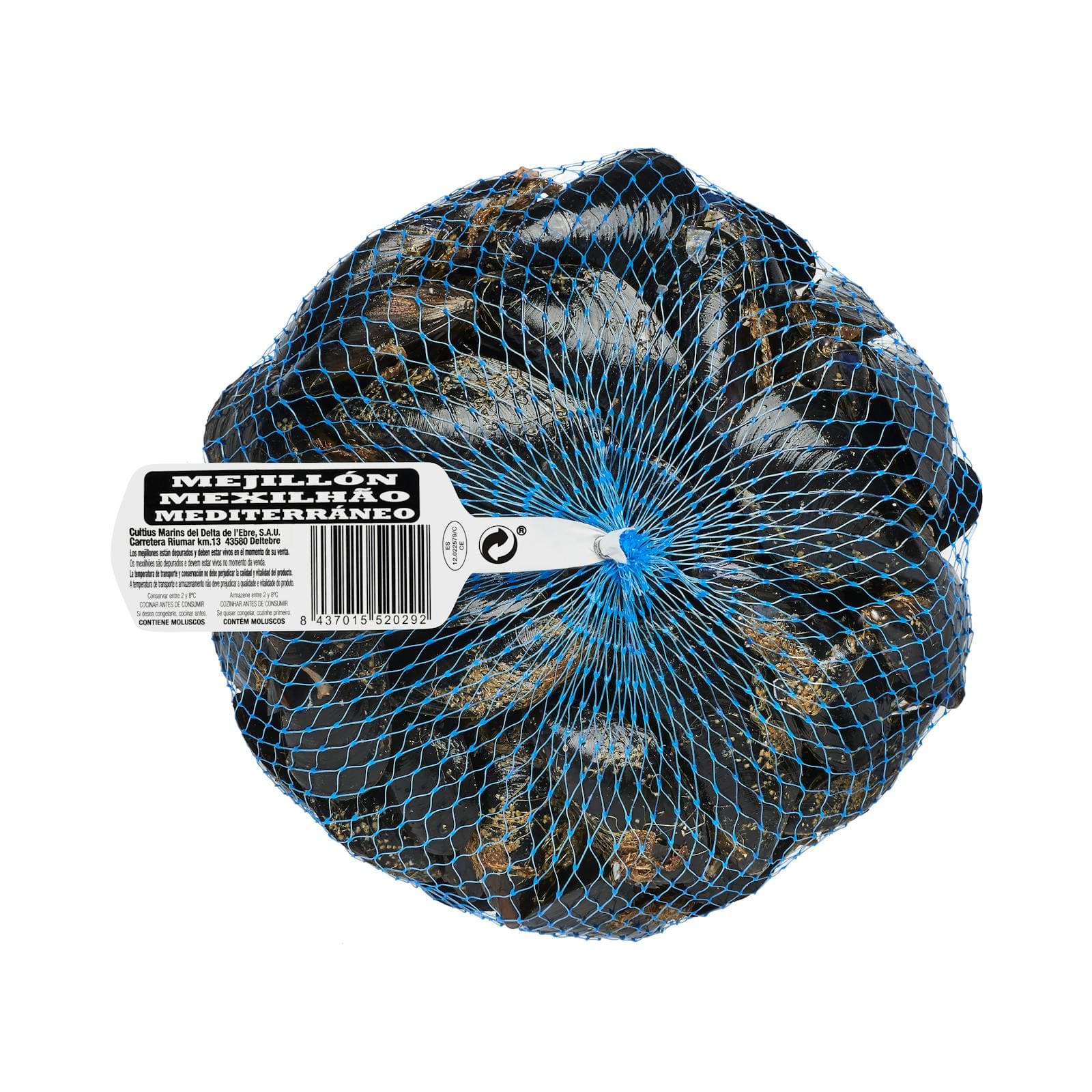 Mediterranean Mussel