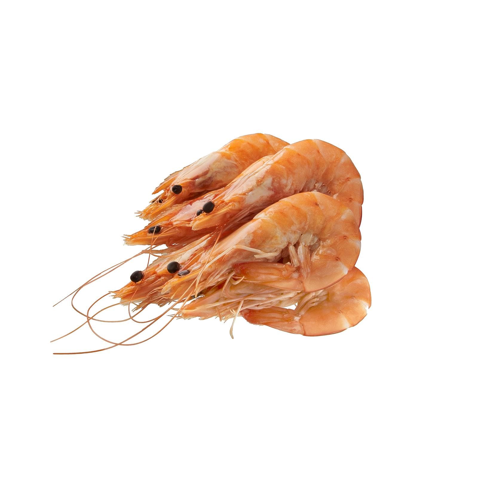 Cooked Shrimp