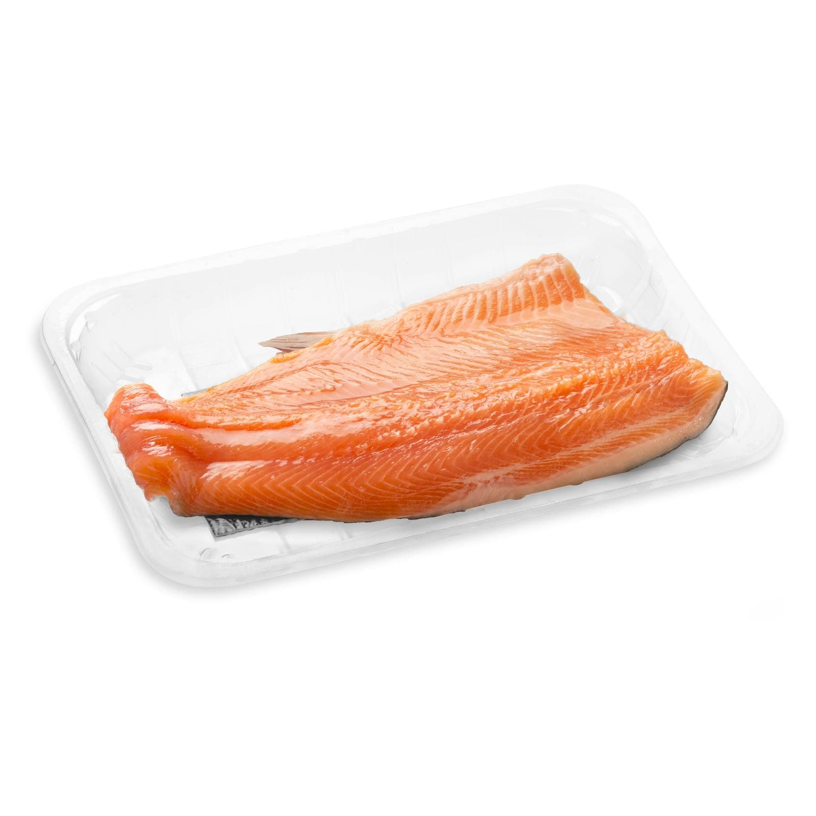 Rainbow Trout Fillets