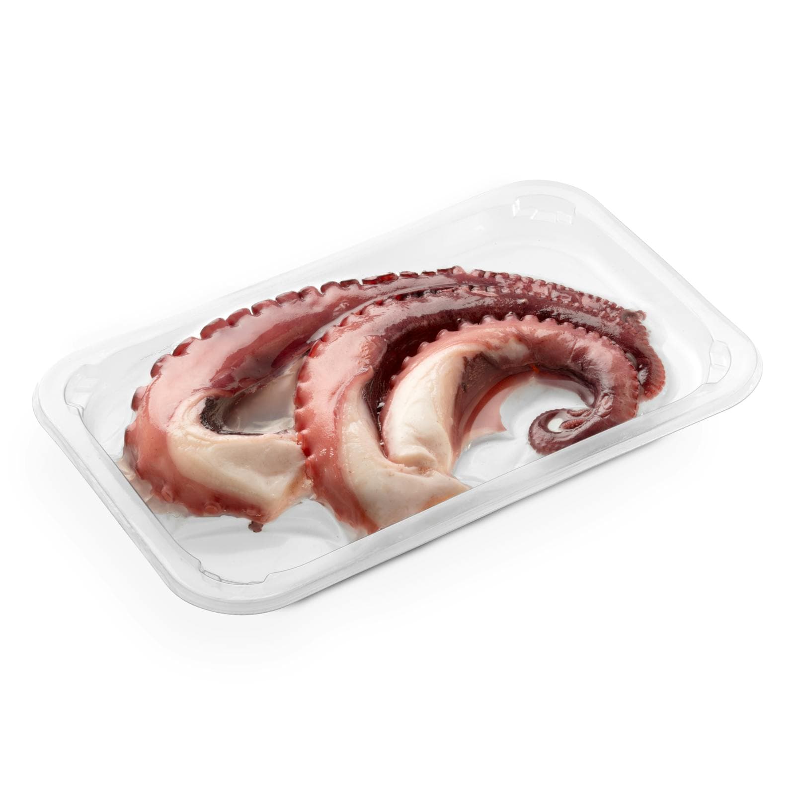 Cooked Octopus Tentacles