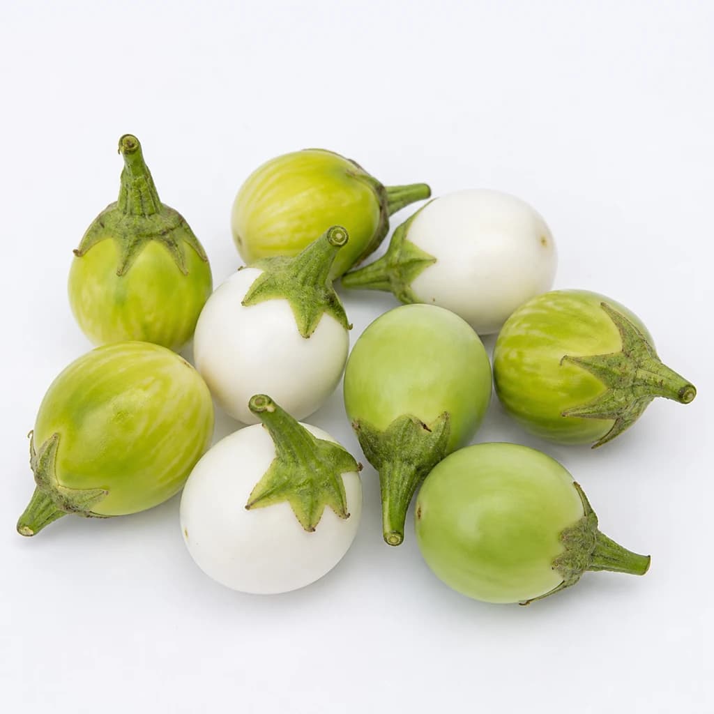 African Eggplant (Garden Egg)