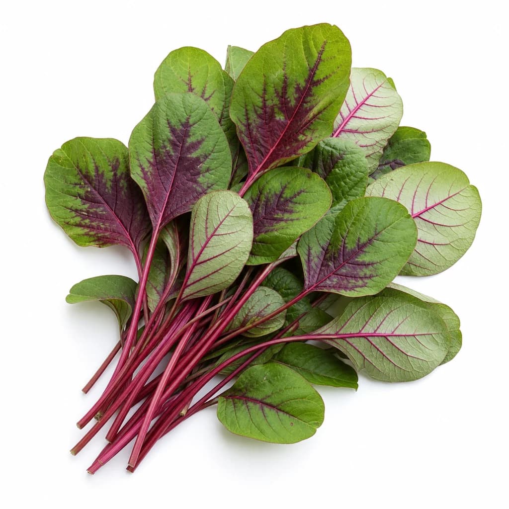 Amaranth Greens
