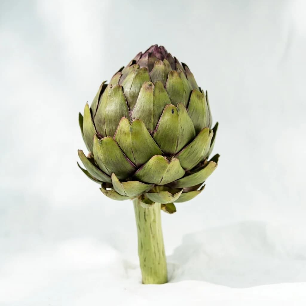 Artichoke