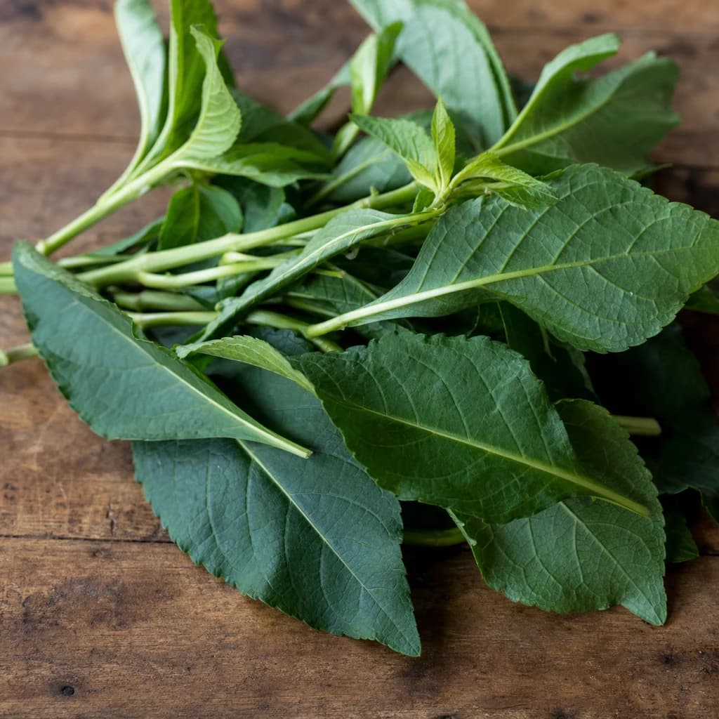 Bitter Leaf — Natural form