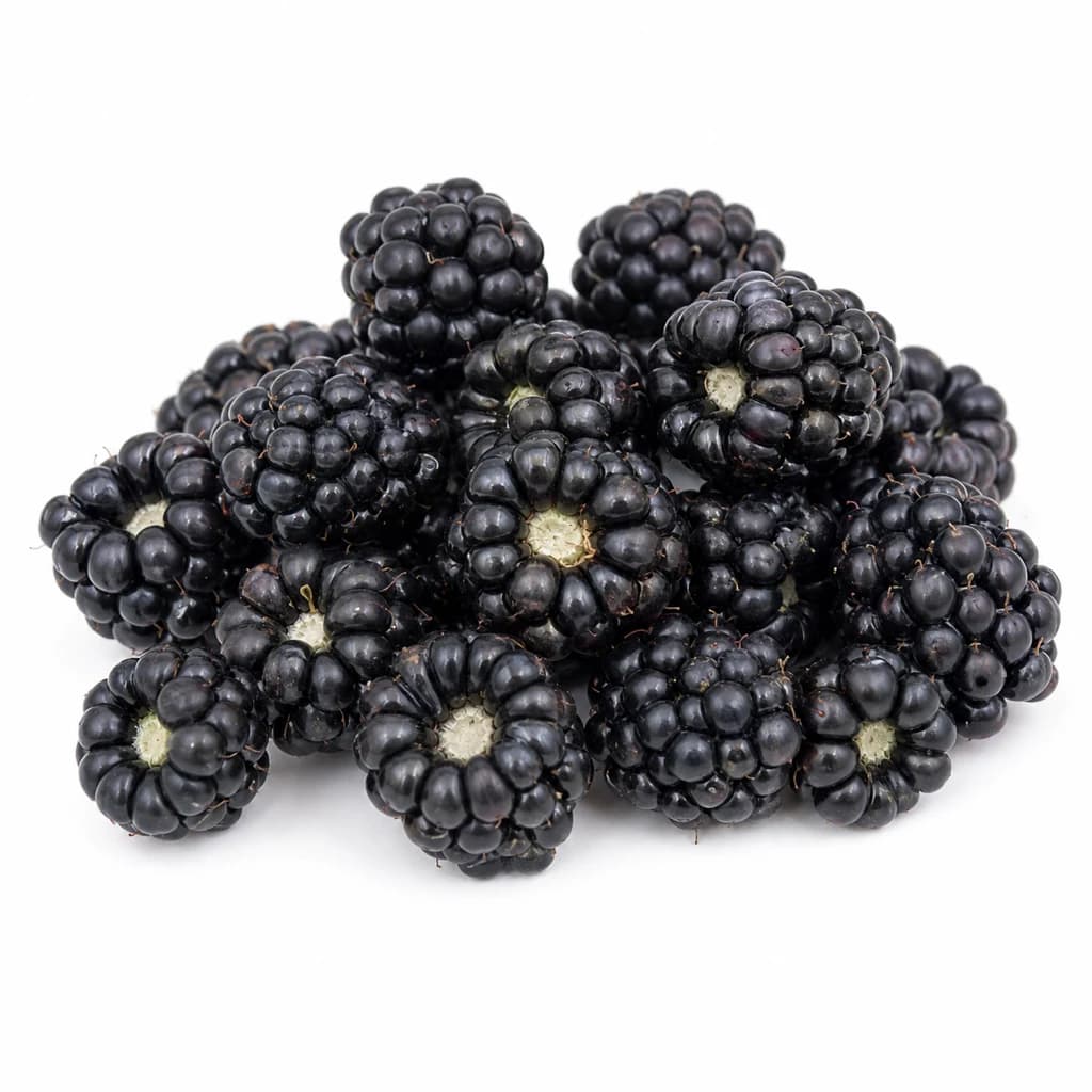Blackberry