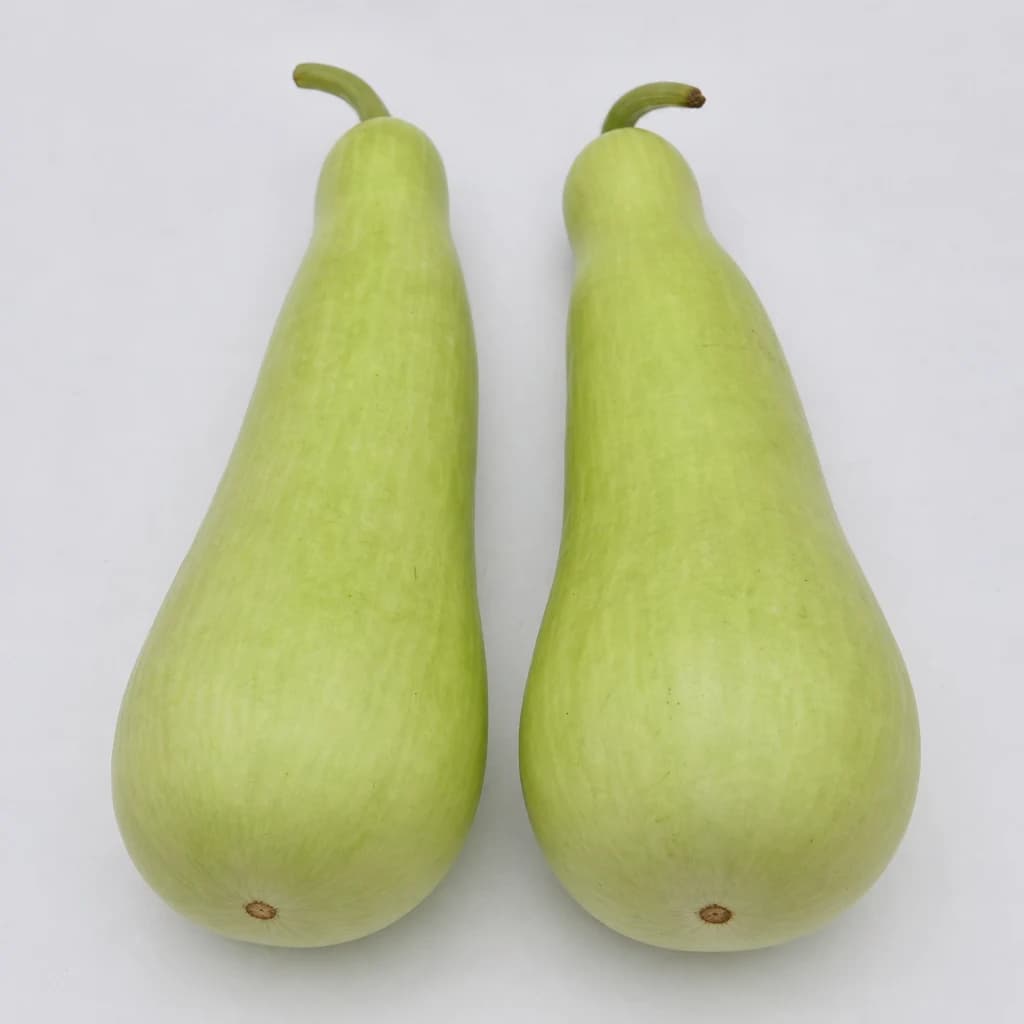 Bottle Gourd