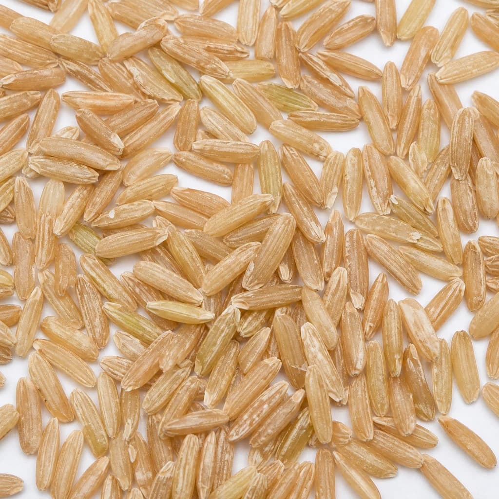Brown Rice