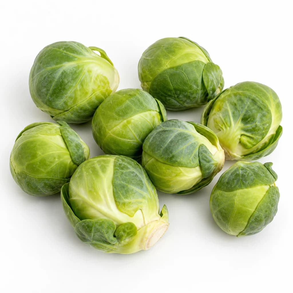 Brussels Sprout — Natural form