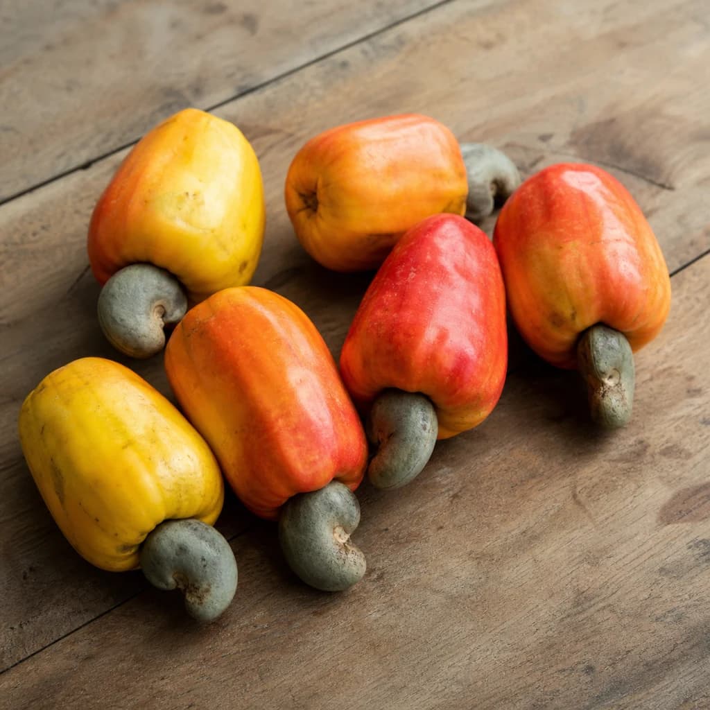 Cashew Apple