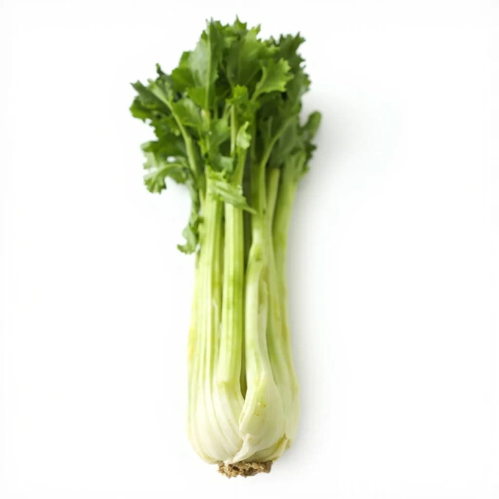 Celery