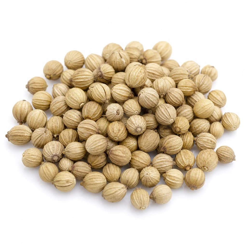 Coriander Seed — Natural form