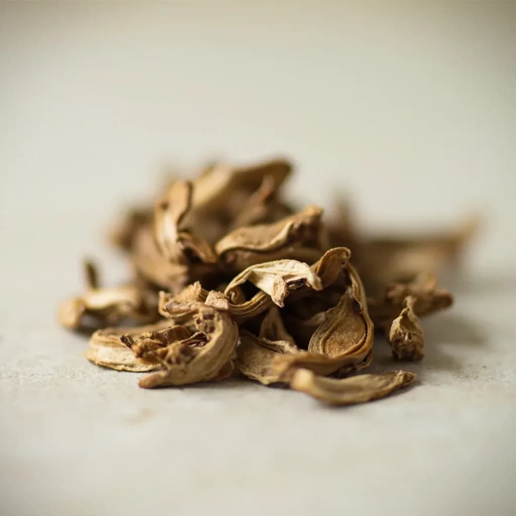 Dried Porcini